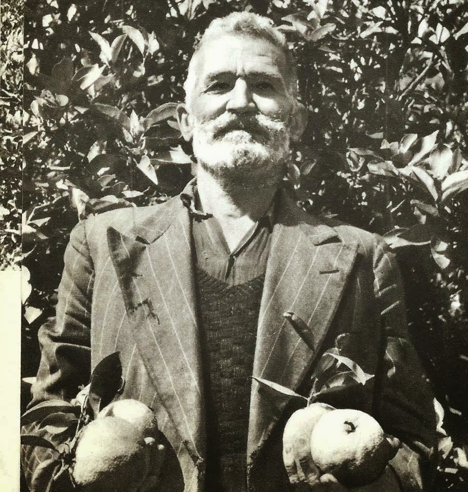 Κρητικός