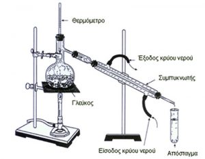 tsikoydia-4